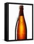 Beer Frothing Out of Bottle-Kröger & Gross-Framed Stretched Canvas
