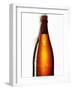 Beer Frothing Out of Bottle-Kröger & Gross-Framed Premium Photographic Print