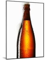 Beer Frothing Out of Bottle-Kröger & Gross-Mounted Photographic Print