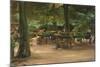 Beer Garden, 1905 (Oil on Board)-Max Liebermann-Mounted Giclee Print