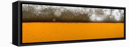 Beer Me-Steve Gadomski-Framed Stretched Canvas