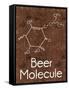 Beer Molecule 2 Rect Brown-Lauren Gibbons-Framed Stretched Canvas