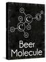 Beer Molecule Rect-Lauren Gibbons-Stretched Canvas
