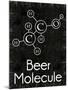 Beer Molecule Rect-Lauren Gibbons-Mounted Art Print