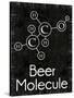 Beer Molecule Rect-Lauren Gibbons-Stretched Canvas