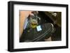 Beer mug and Lederhosen, Oktoberfest-Christine Meder stage-art.de-Framed Photographic Print