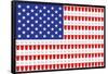 BEER PONG FLAG-null-Framed Standard Poster