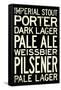 Beer Types and Styles-null-Framed Stretched Canvas