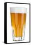 Beer-Fabio Petroni-Framed Stretched Canvas