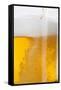 Beer-Fabio Petroni-Framed Stretched Canvas