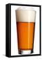Beer-Fabio Petroni-Framed Stretched Canvas