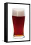 Beer-Fabio Petroni-Framed Stretched Canvas