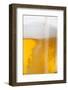 Beer-Fabio Petroni-Framed Photographic Print