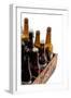 Beer-Fabio Petroni-Framed Photographic Print