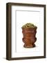 Beer-Fabio Petroni-Framed Photographic Print