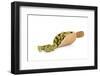 Beer-Fabio Petroni-Framed Photographic Print