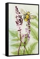 Bees Amongst the Liriope-Trudy Rice-Framed Stretched Canvas