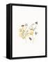 Bees and Botanicals III-Leah York-Framed Stretched Canvas