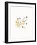 Bees and Botanicals III-Leah York-Framed Art Print