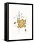 Bees and Botanicals IV-Leah York-Framed Stretched Canvas