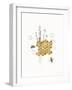 Bees and Botanicals IV-Leah York-Framed Art Print