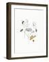 Bees and Botanicals V-Leah York-Framed Art Print