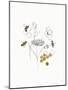 Bees and Botanicals V-Leah York-Mounted Art Print