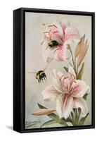 Bees and Lilies, Illustration from 'stories of Insect Life' by William J. Claxton, 1912-Louis Fairfax Muckley-Framed Stretched Canvas