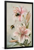 Bees and Lilies, Illustration from 'stories of Insect Life' by William J. Claxton, 1912-Louis Fairfax Muckley-Framed Giclee Print