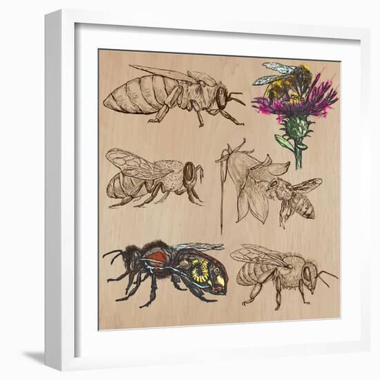 Bees, Beekeeping, and Honey-KUCO-Framed Art Print
