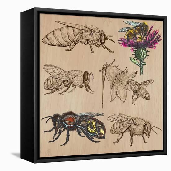 Bees, Beekeeping, and Honey-KUCO-Framed Stretched Canvas