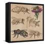 Bees, Beekeeping, and Honey-KUCO-Framed Stretched Canvas