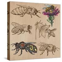 Bees, Beekeeping, and Honey-KUCO-Stretched Canvas