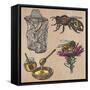 Bees, Beekeeping, and Honey-KUCO-Framed Stretched Canvas