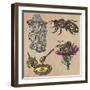 Bees, Beekeeping, and Honey-KUCO-Framed Art Print