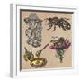 Bees, Beekeeping, and Honey-KUCO-Framed Art Print