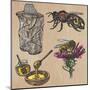 Bees, Beekeeping, and Honey-KUCO-Mounted Art Print