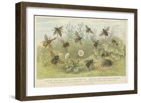 Bees-null-Framed Giclee Print