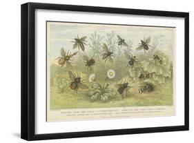 Bees-null-Framed Giclee Print