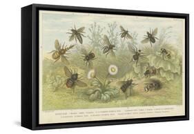 Bees-null-Framed Stretched Canvas