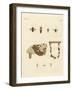 Bees-null-Framed Giclee Print