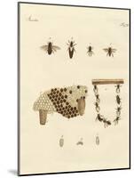 Bees-null-Mounted Giclee Print