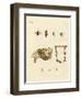 Bees-null-Framed Giclee Print