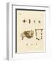 Bees-null-Framed Giclee Print