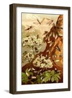 Bees-F.W. Kuhnert-Framed Art Print