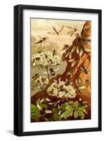 Bees-F.W. Kuhnert-Framed Art Print