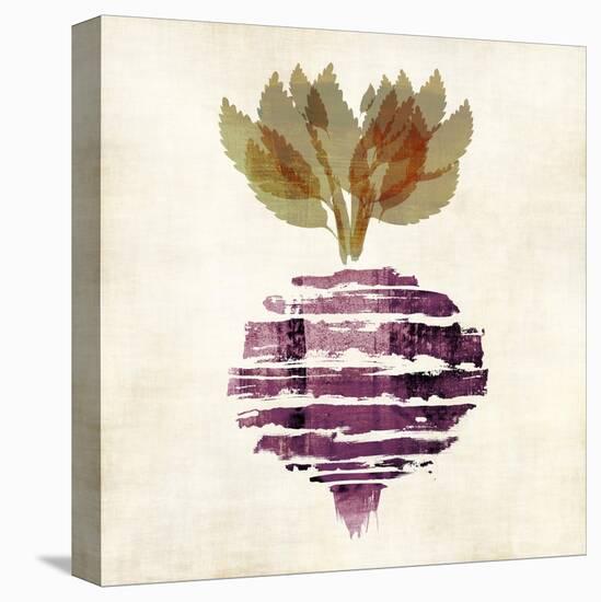 Beet 3-Kristin Emery-Stretched Canvas