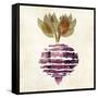 Beet 3-Kristin Emery-Framed Stretched Canvas