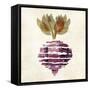 Beet 3-Kristin Emery-Framed Stretched Canvas