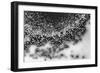 Beet juice and salt crystals-Zandria Muench Beraldo-Framed Photographic Print